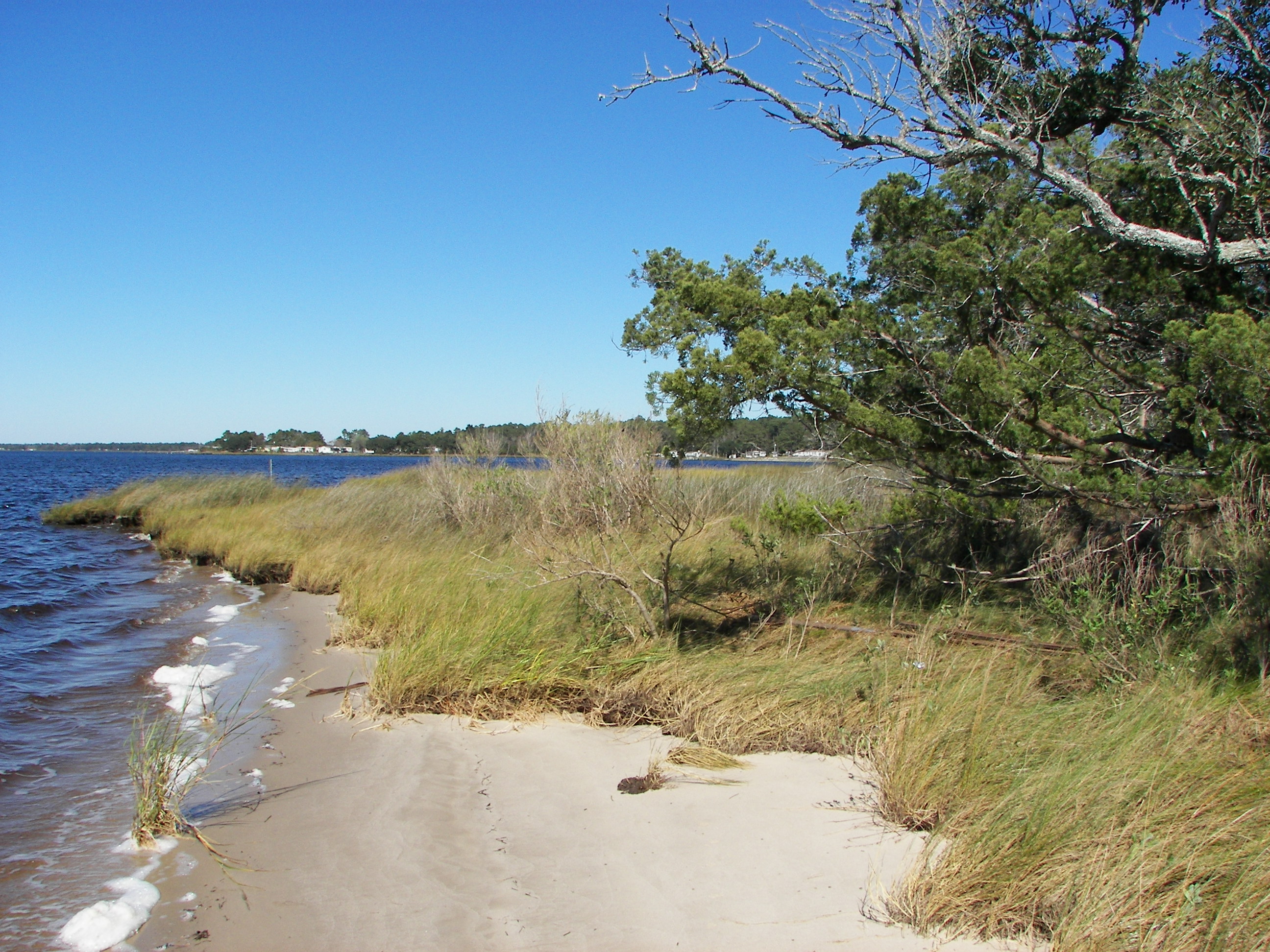 ./2006/Cedar Point/100_1329.JPG